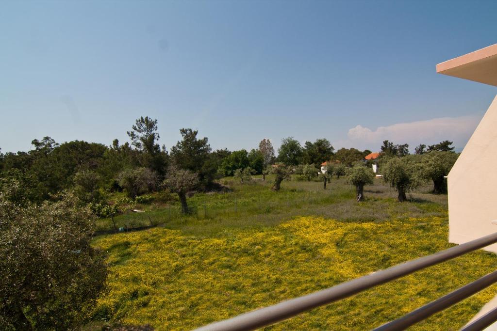 Studios Dimitraki Скала-Рахониу Номер фото